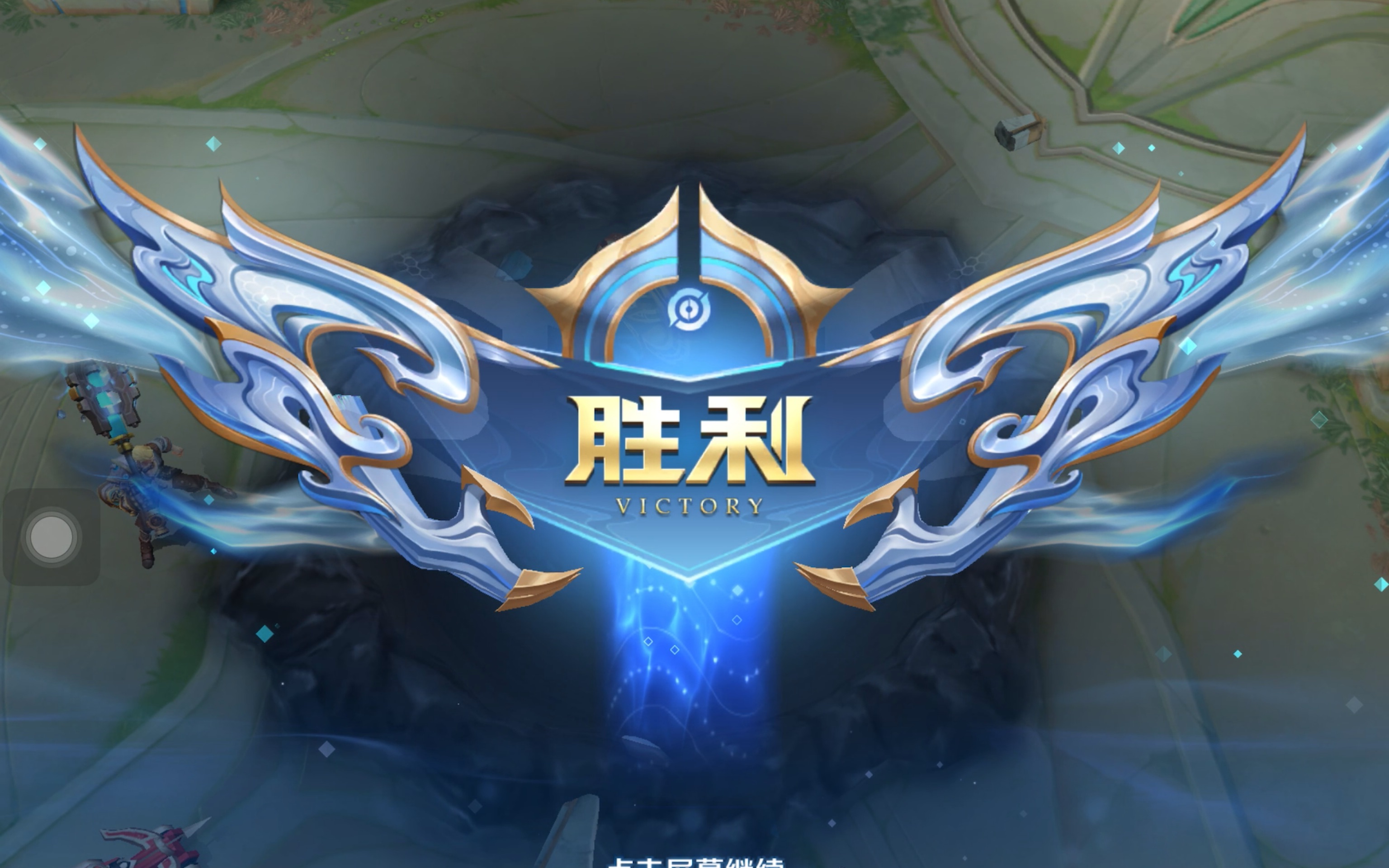 妮这类